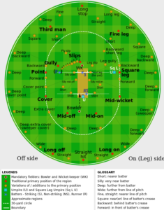 Cricket Fielding Positions